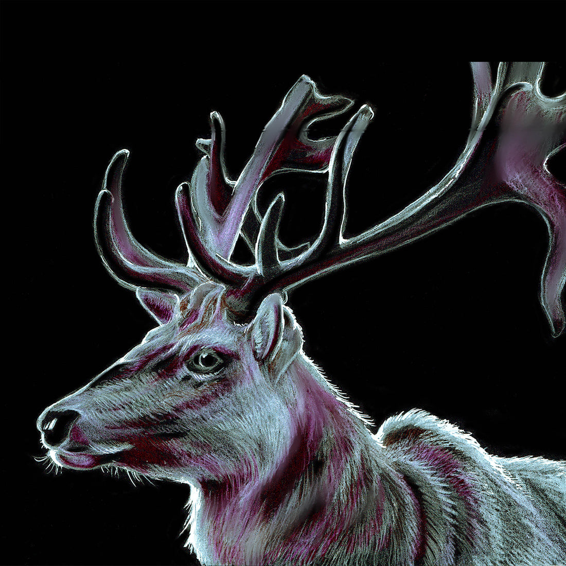 Stag: Gene Key 21 – Life Key of Self-empowered Authority