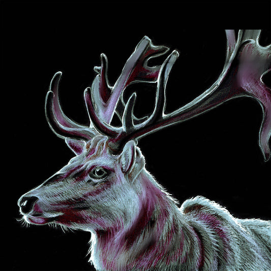 Stag: Gene Key 21 – Life Key of Self-empowered Authority