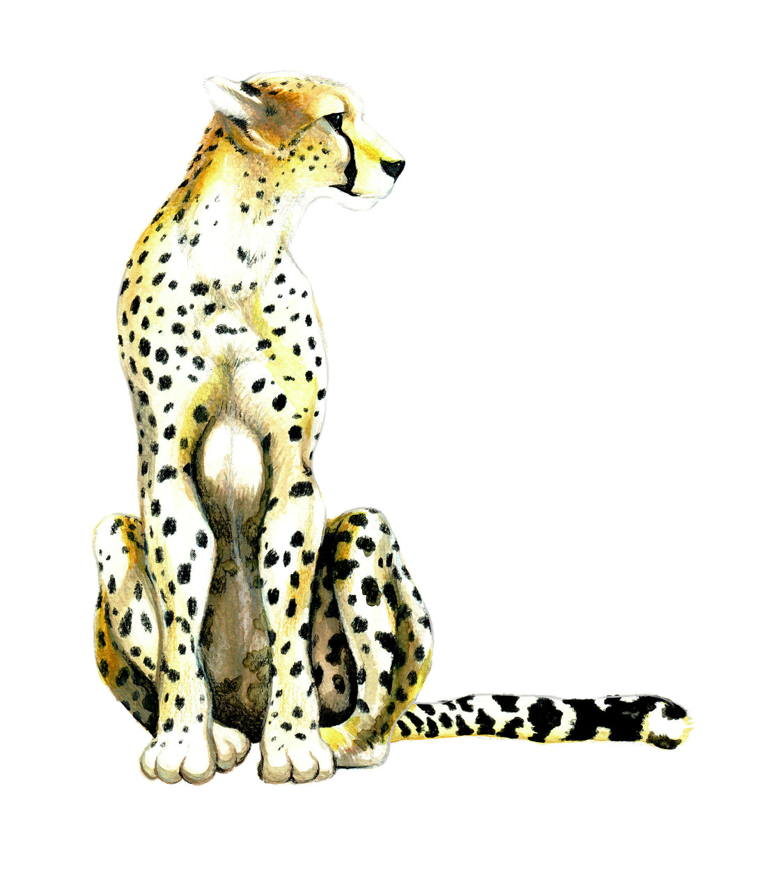 Cheetah: Gene Key 28 – The Life Key of Balanced Totality