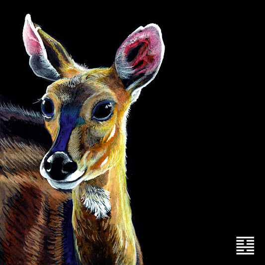 Deer: Gene Key 22 – The Life Key of the Power of Graciousness