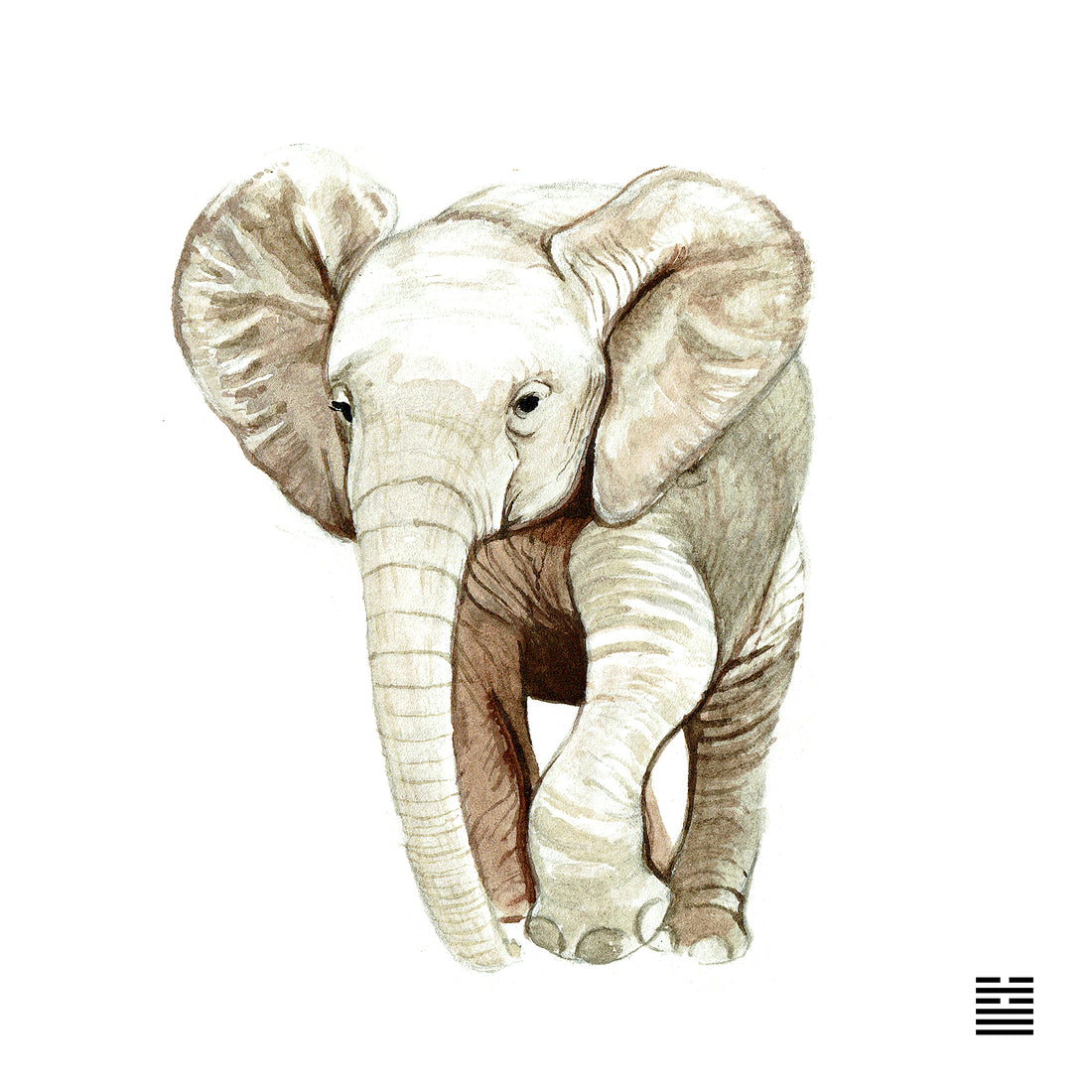 Elephant: Gene Key 5 – The Life Key of Deep Patience